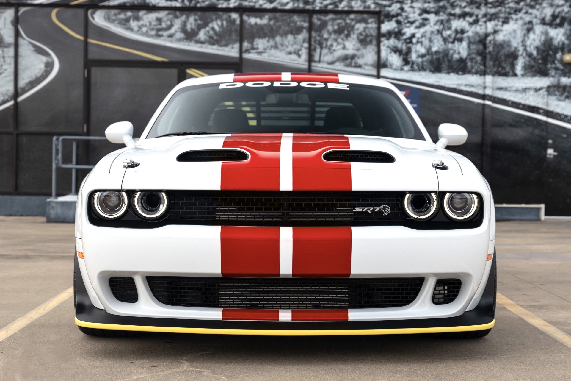 Racing Stripes